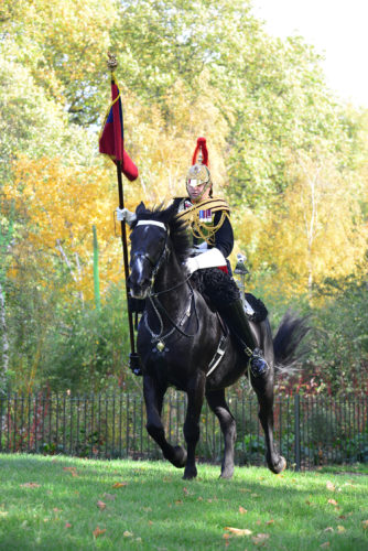 household cavalry charger galloping outdoors