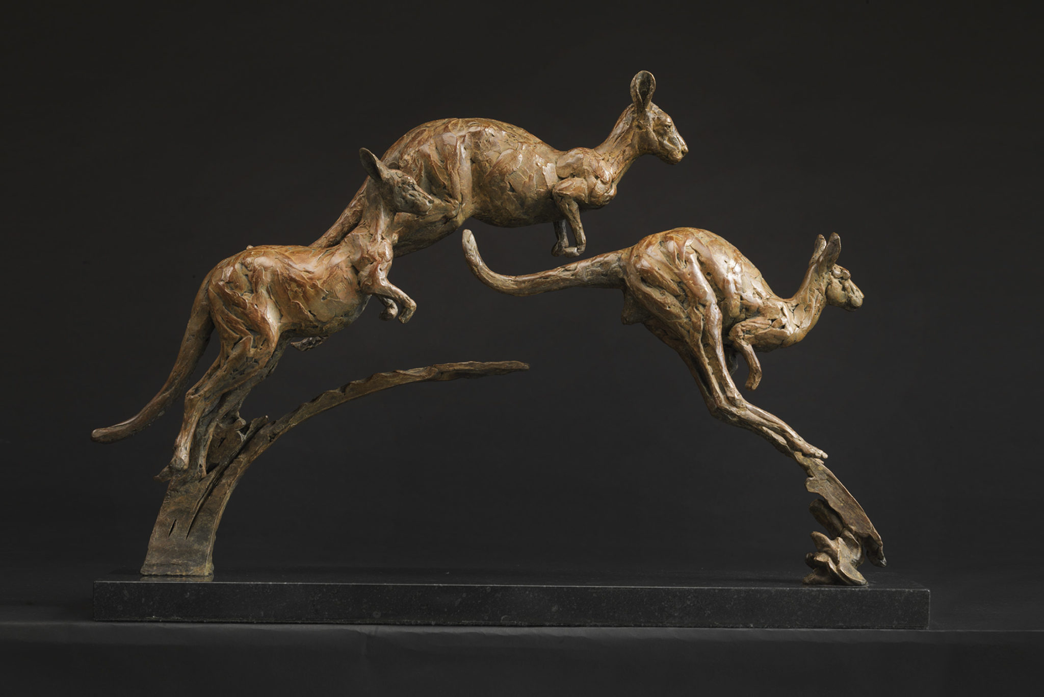 Bronze kangaroo sculpture by Hamish Mackie