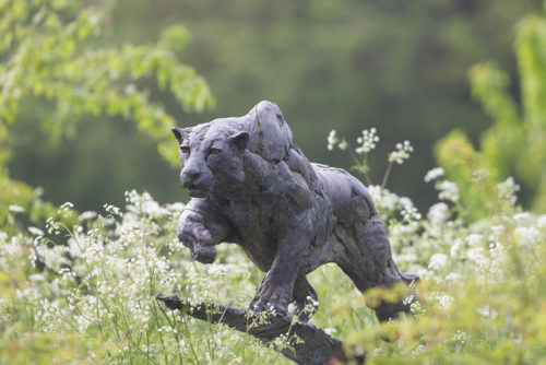 bronze sculpture of Leopard Stalking
