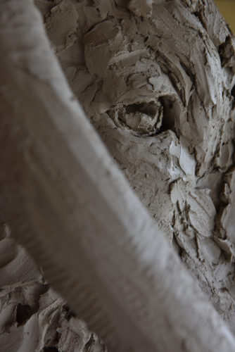 detail of clay longhorn bull head