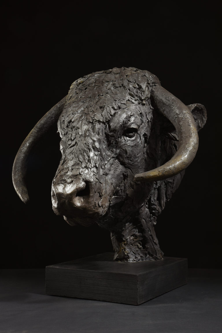 bronze Longhorn Bull Head sculpture