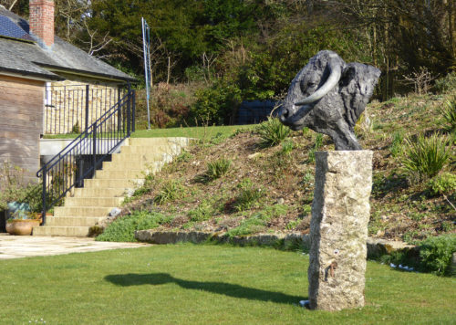 longhorn bull head on plinth outdoors