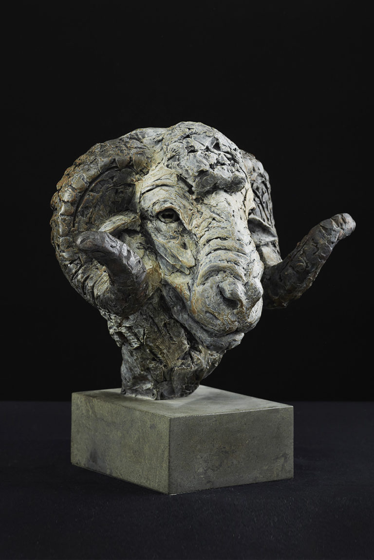 Merino Ram Head in bronze