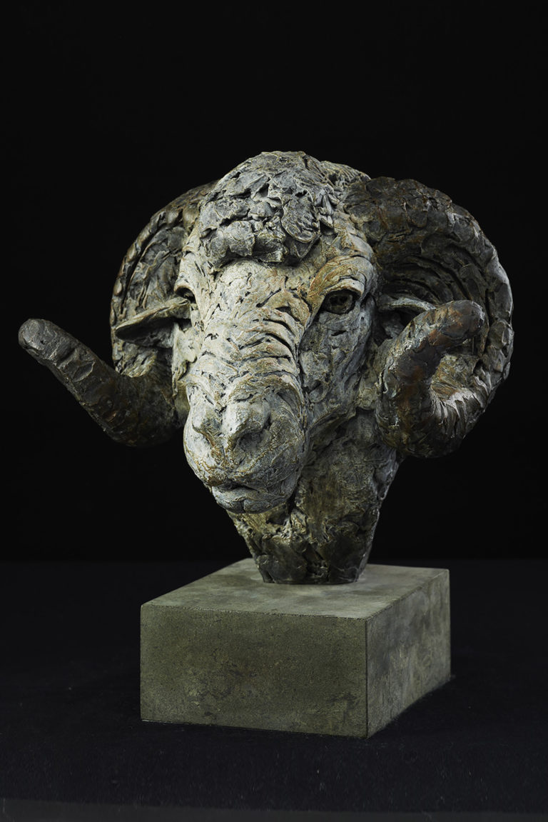 Bronze sculpture of Merino Ram Head