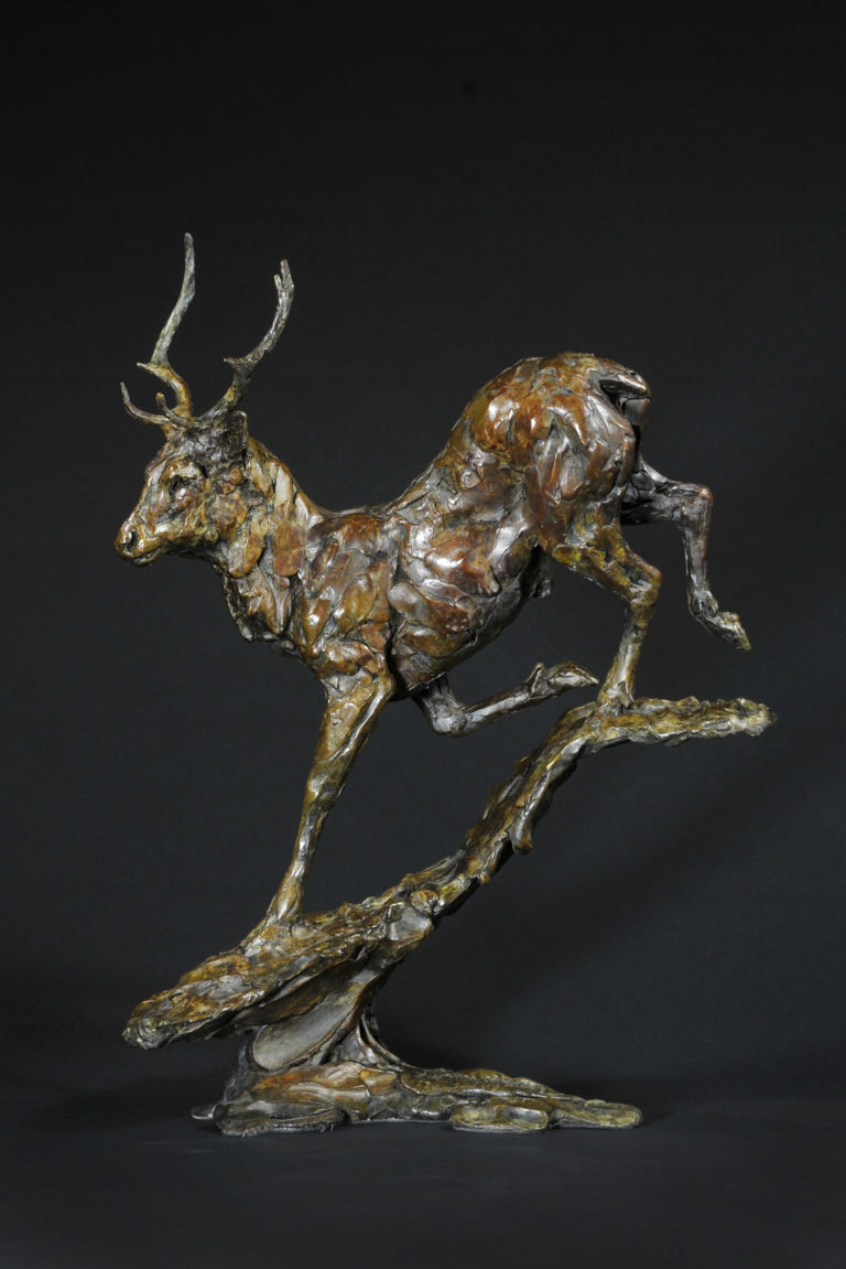 Mackie's Red Deer Stag