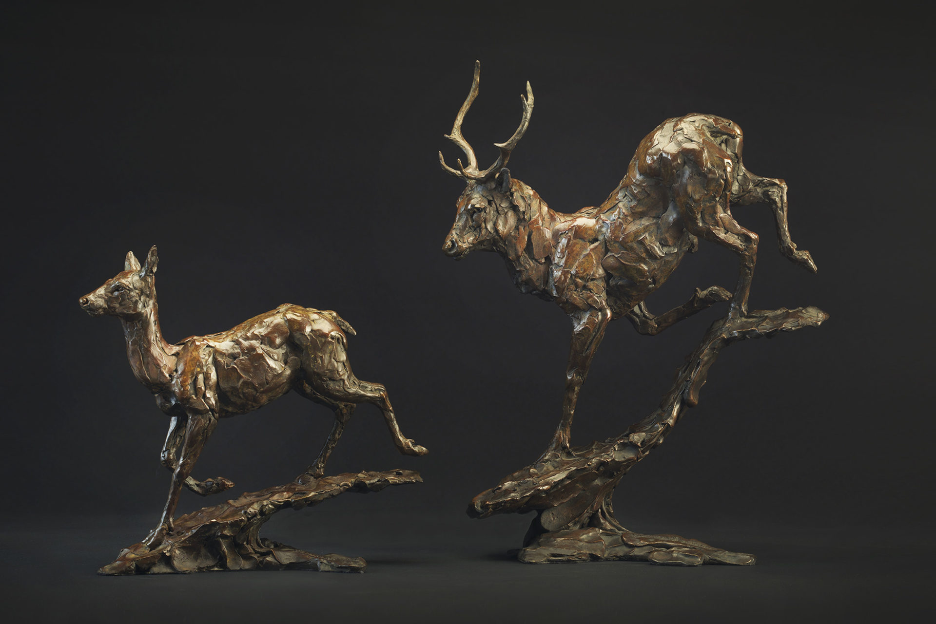 red deer hind and stag in bronze
