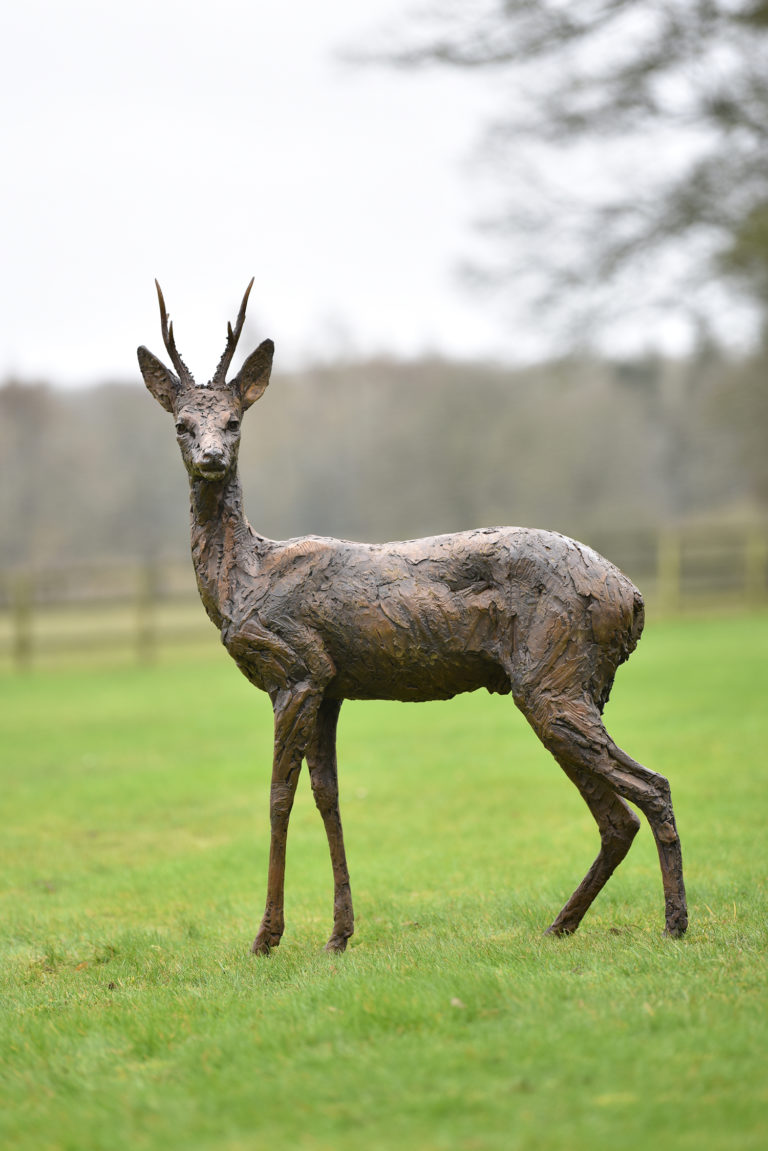 roe buck standing sculpture by Hamish Mackie