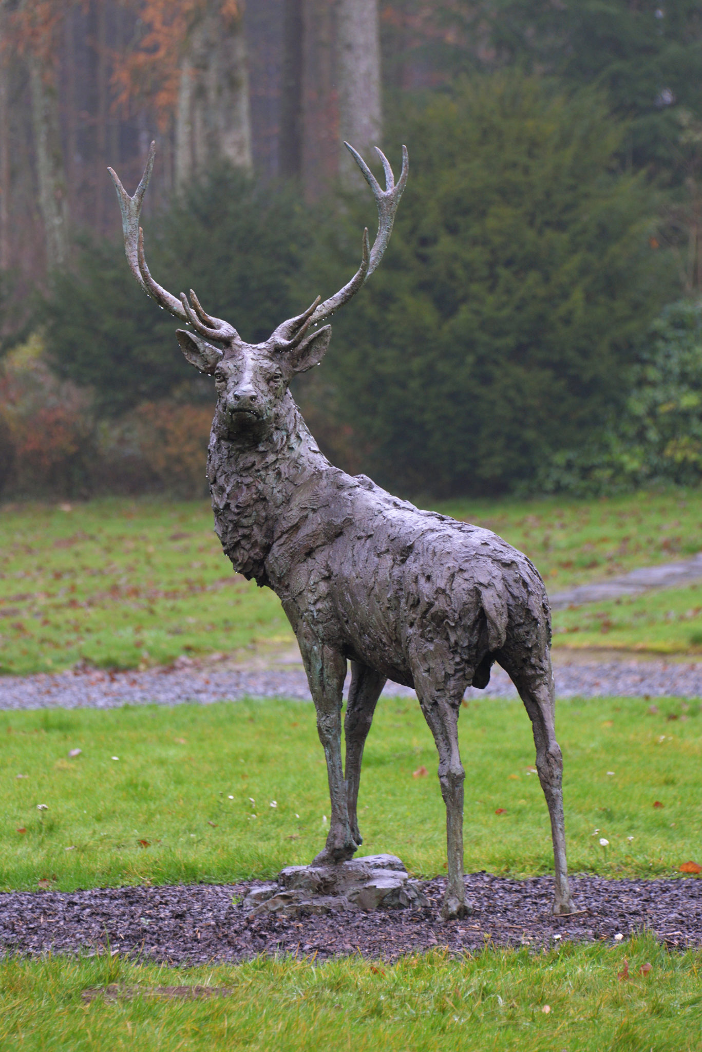 Life size Stag Bronze sculpture by Hamish Mackie