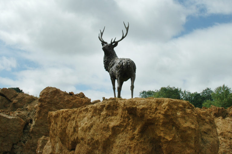 stag bronze on rock