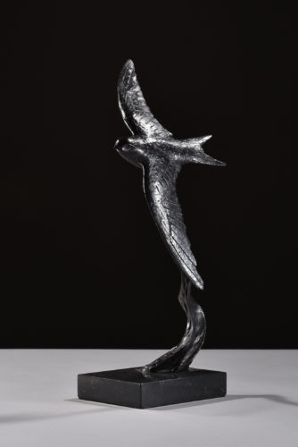 bronze swift soaring
