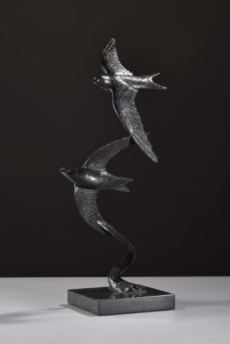 bronze swifts