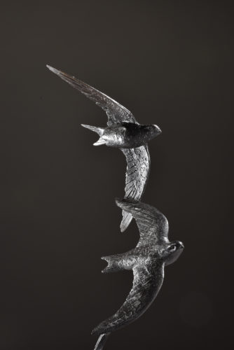 bronze swifts by Mackie