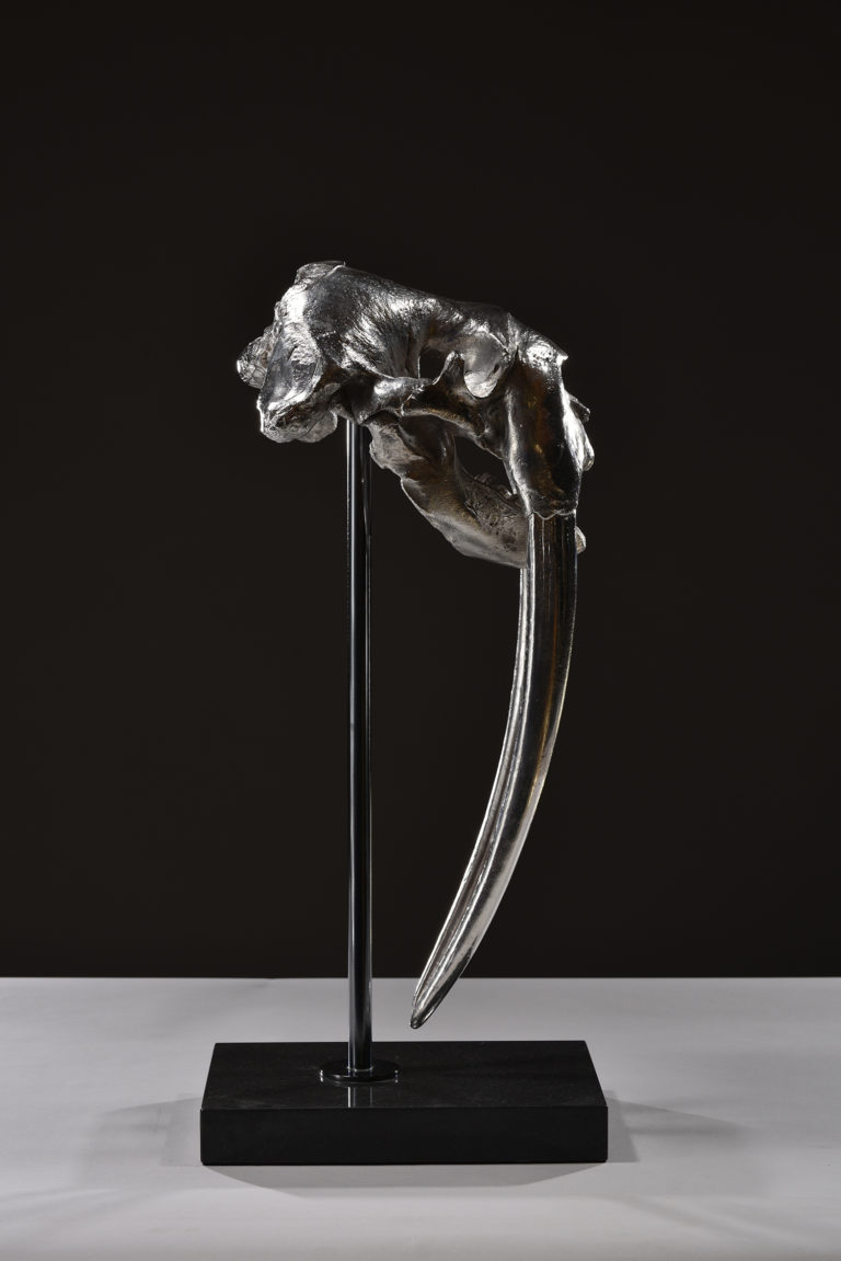 walrus skull sculpture