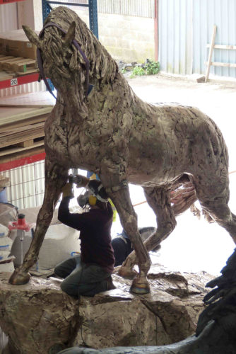 Hamish making Andalusian Stallion