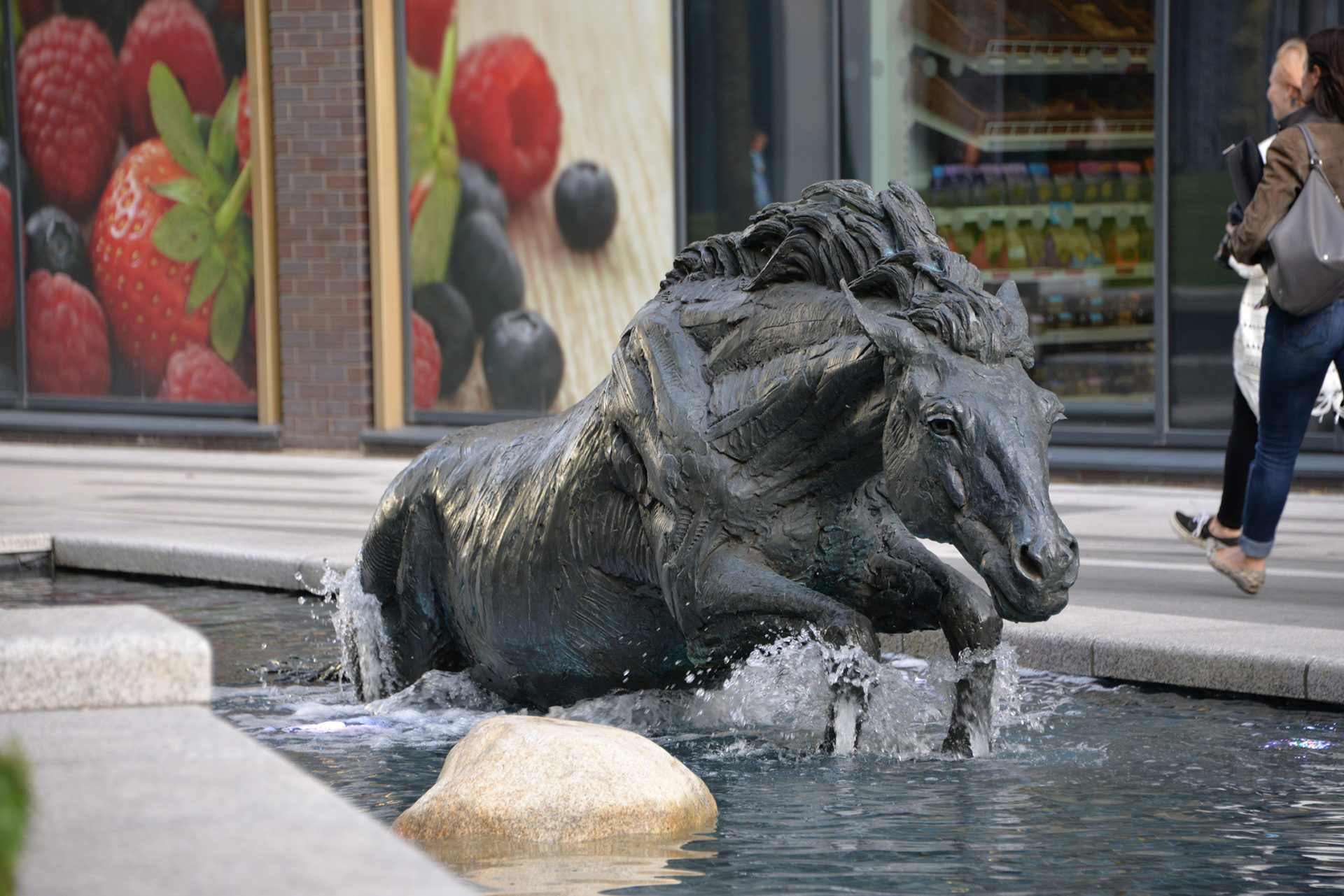 Mackie's bronze Irish cob in water