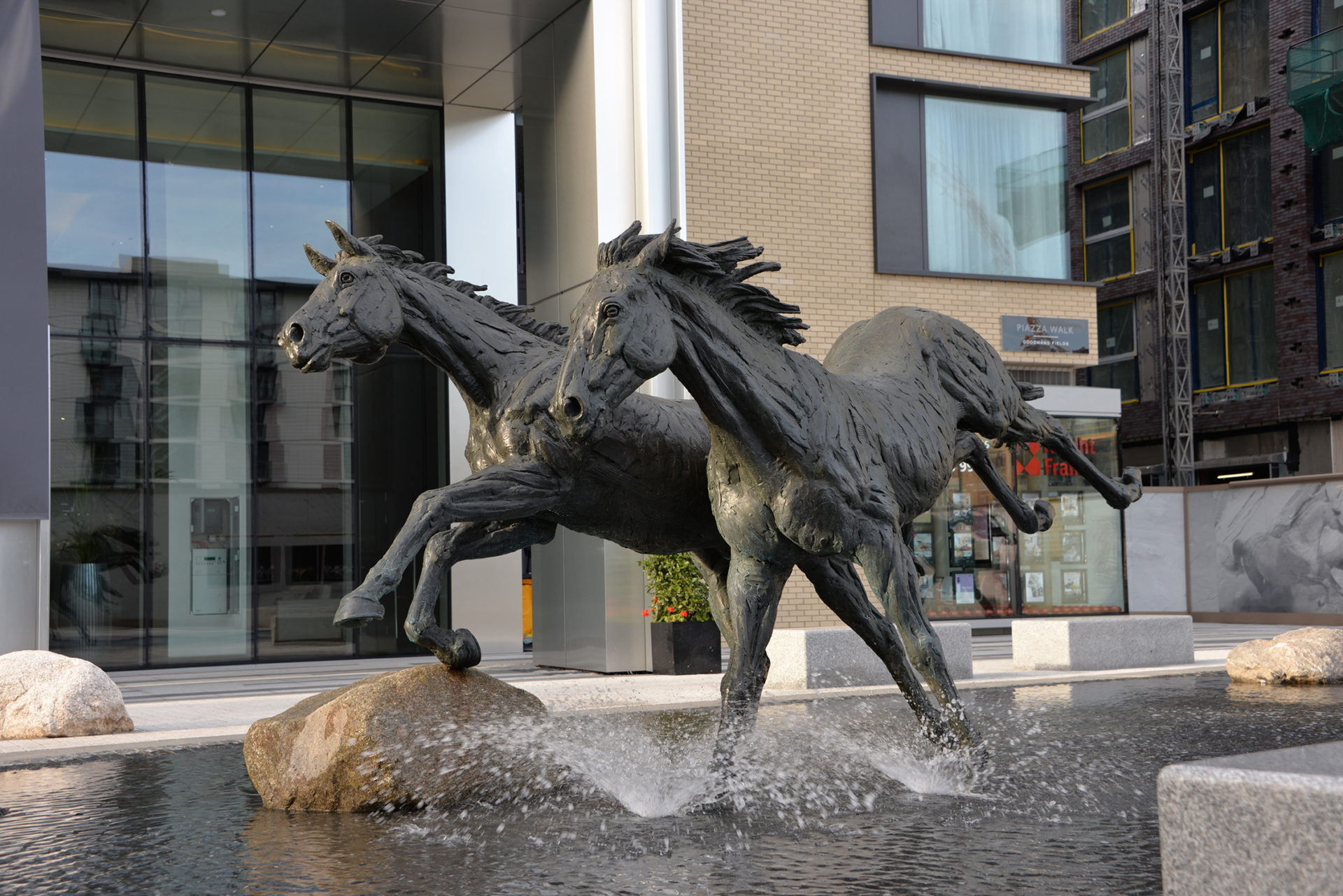 Hamish Mackie's Goodman's Two Horses Running Together