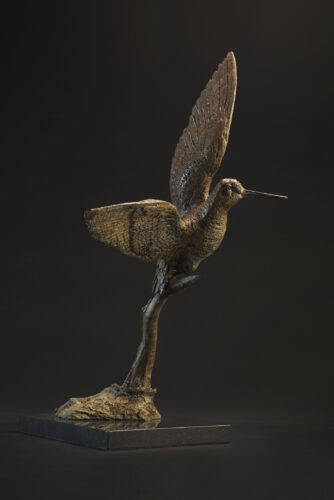 woodcock in bronze by Hamish Mackie