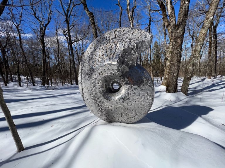 Ammonite Cretaceous stainless steel sculpture in snow