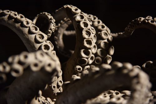 clay model showing tentacles