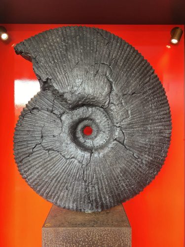 ammonite sculpture at Chelsea flower show