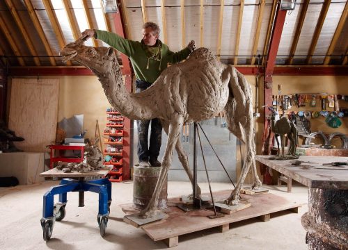 Hamish making life-size camel