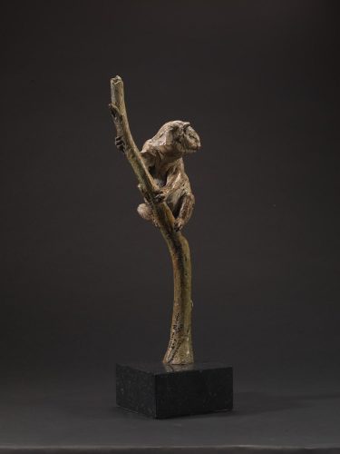 bronze of a koala by Hamish Mackie