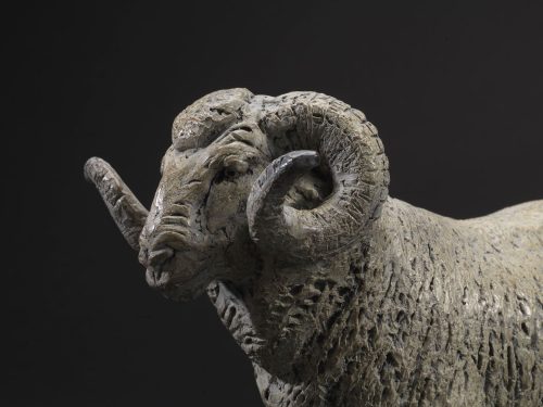 Merino ram sculpture with curly horns