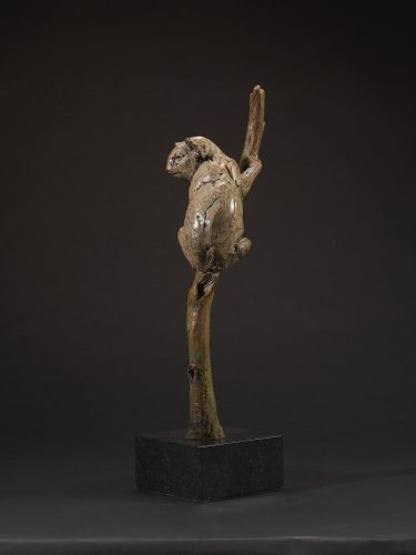 Hamish's bronze koala