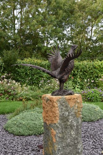 Bronze Pheasant sculpture by Hamish Mackie