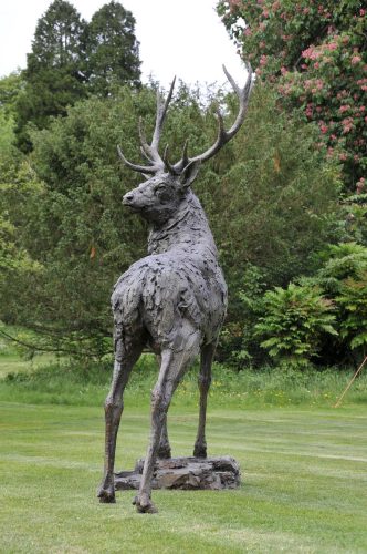 stag bronze by Hamish Mackie