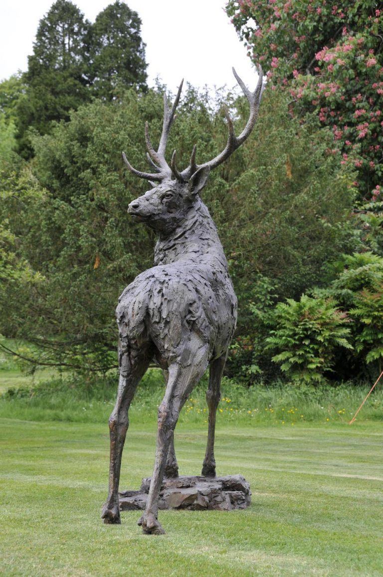 Life size Stag Bronze sculpture by Hamish Mackie