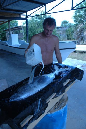 Hamish making tuna sculpture