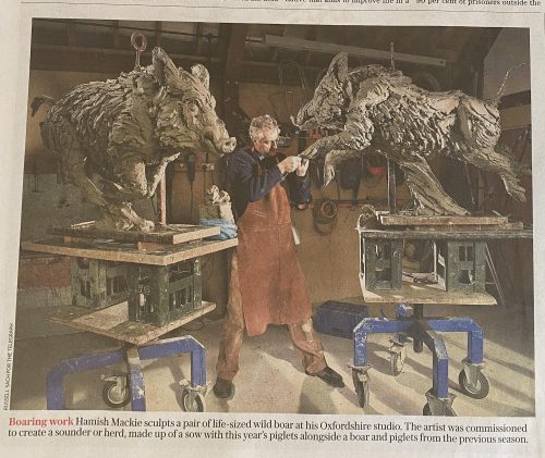 Sunday Telegraph image of Hamish working on wild boar
