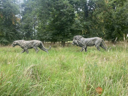 life size bronze lions in field
