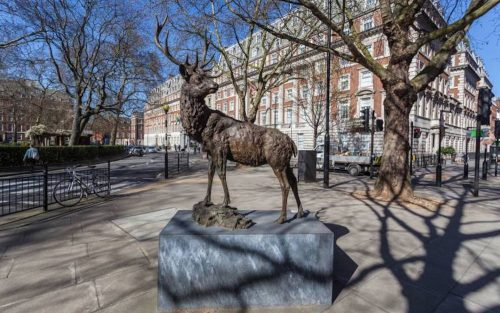 stag on plinth in London