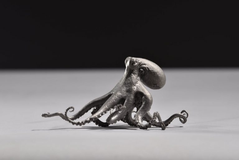 Titanium octopus by Hamish Mackie