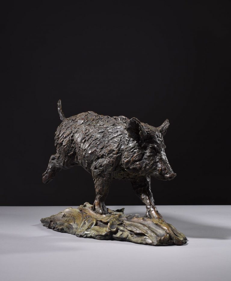 female wild boar by Mackie