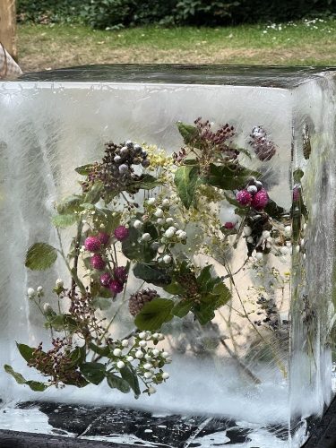 flowers in ice at Chelsea 2022