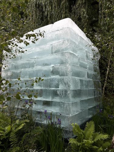 Ice garden Chelsea