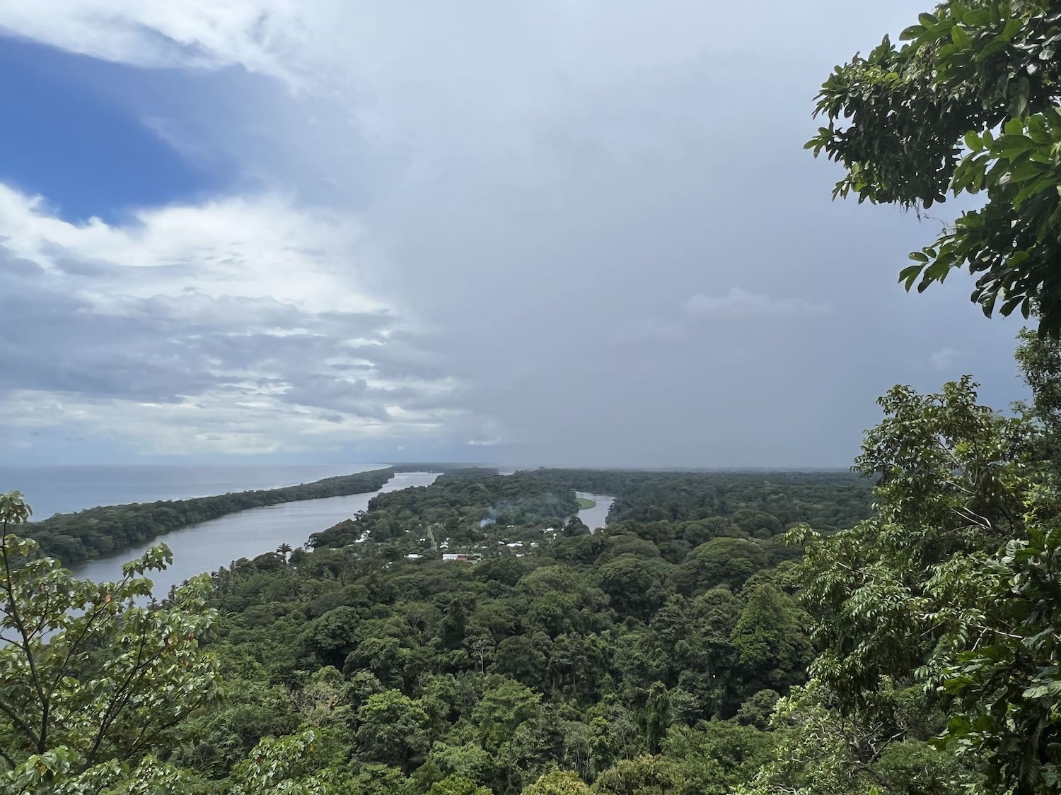 landscape of Tortuguro Rainforest