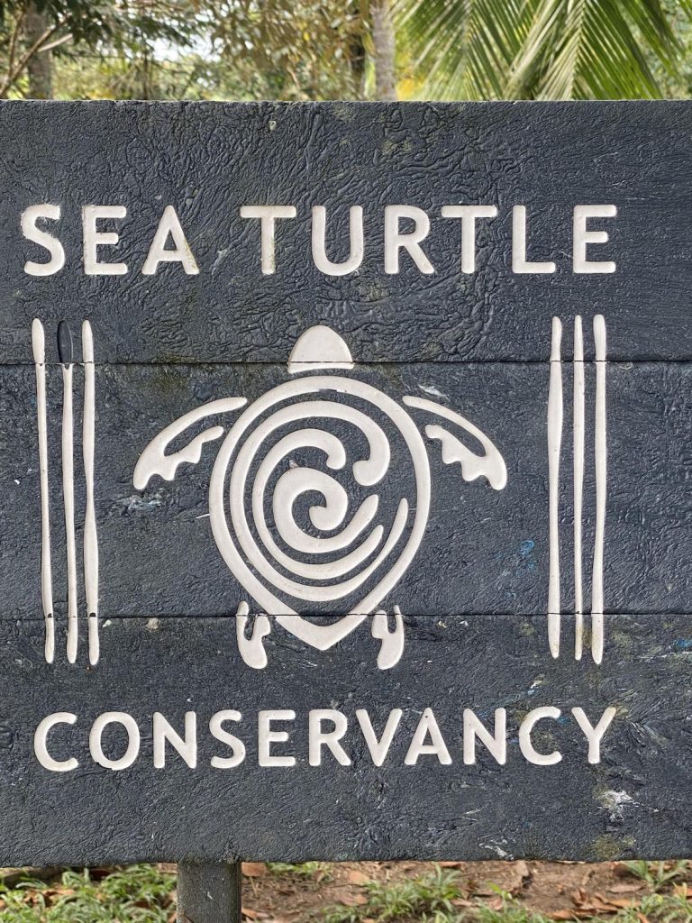 sign from sea turtle conservancy