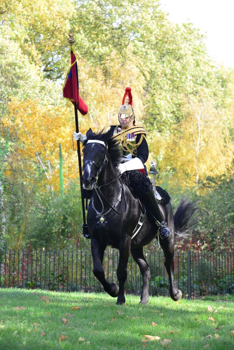 household cavalry charger