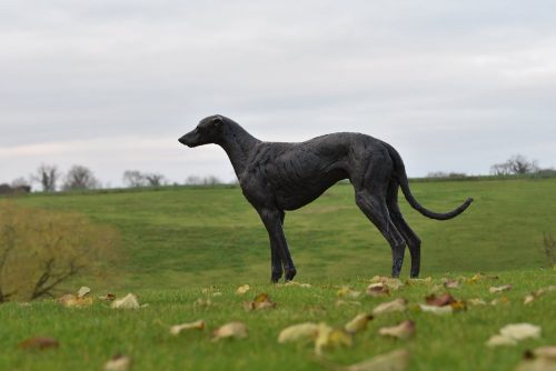 greyhound cast in bronze