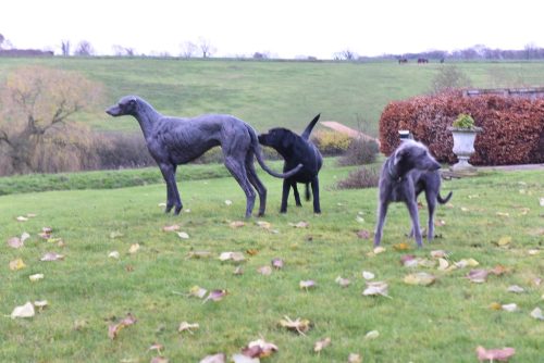 greyhound sculpture with real dogs