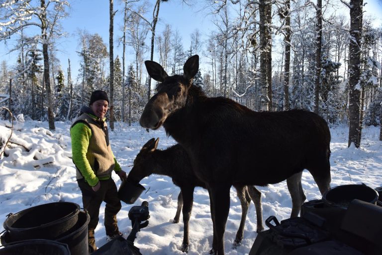 Erik Oster with Moose