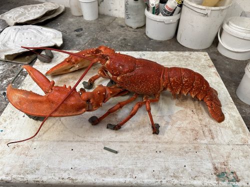 wild lobster specimen