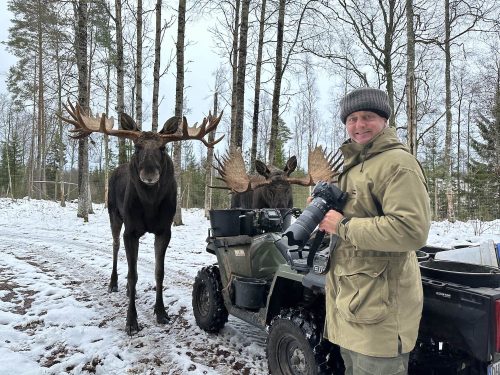 Hamish photographing moose in Sweden