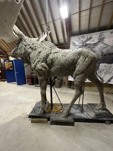life size moose sculpture