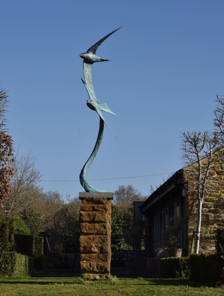 Mackie's bronze swifts