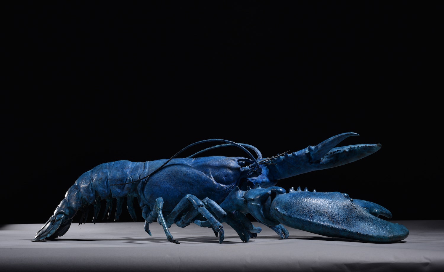 Mackie bronze sculpture of blue lobster